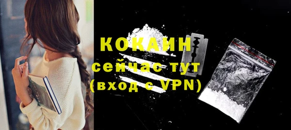 молекула духа Балахна