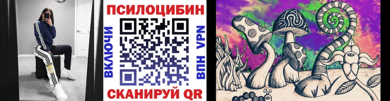 блэк спрут онион  Кыштым  Псилоцибиновые грибы ЛСД 